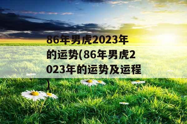 86年男虎2023年的运势(86年男虎2023年的运势及运程)