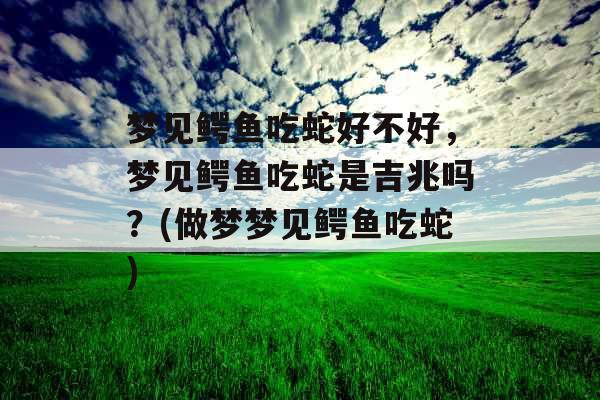 梦见鳄鱼吃蛇好不好，梦见鳄鱼吃蛇是吉兆吗？(做梦梦见鳄鱼吃蛇)