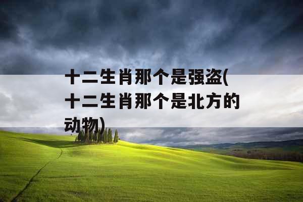 十二生肖那个是强盗(十二生肖那个是北方的动物) 十二生肖那个是强盗(十二生肖那个是北方的动物)