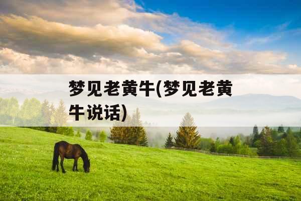 梦见老黄牛(梦见老黄牛说话) 梦见老黄牛(梦见老黄牛说话)