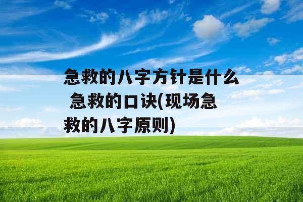 急救的八字方针是什么 急救的口诀(现场急救的八字原则)