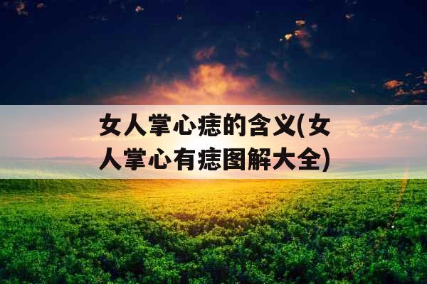 女人掌心痣的含义(女人掌心有痣图解大全)