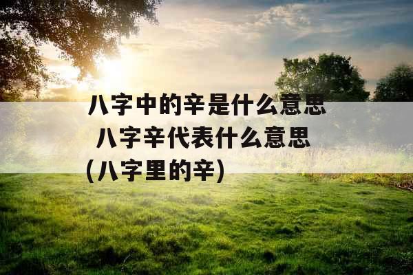 八字中的辛是什么意思 八字辛代表什么意思(八字里的辛)