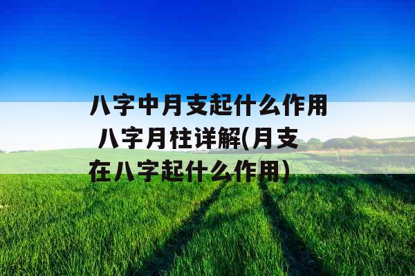 八字中月支起什么作用 八字月柱详解(月支在八字起什么作用)