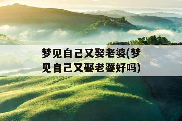 梦见自己又娶老婆(梦见自己又娶老婆好吗)