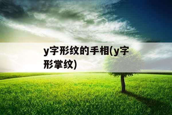 y字形纹的手相(y字形掌纹)