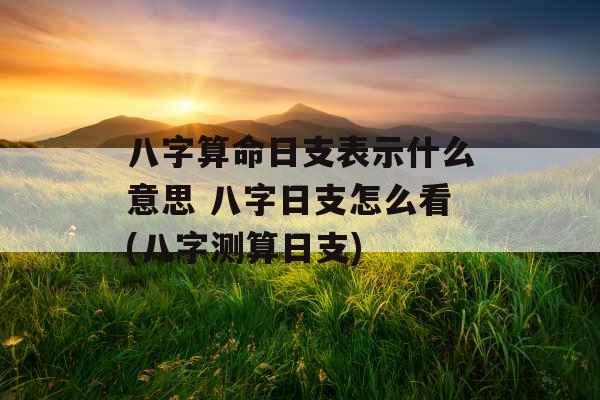 八字算命日支表示什么意思 八字日支怎么看(八字测算日支)