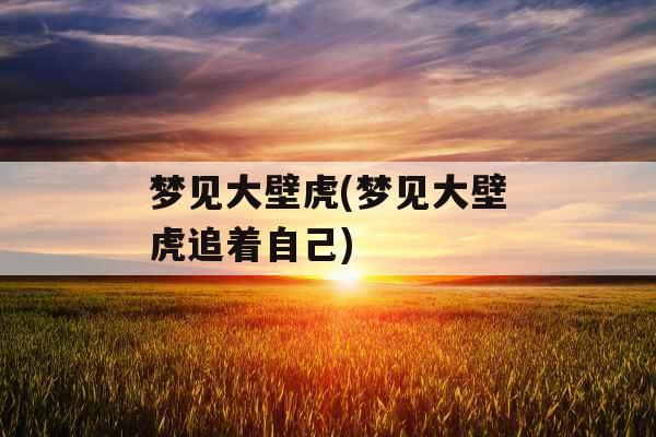 梦见大壁虎(梦见大壁虎追着自己)