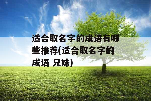 适合取名字的成语有哪些推荐(适合取名字的成语 兄妹)