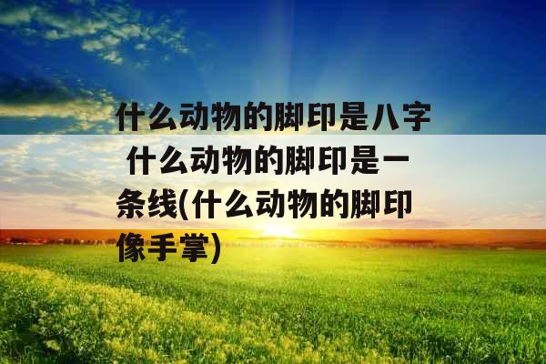 什么动物的脚印是八字 什么动物的脚印是一条线(什么动物的脚印像手掌) 什么动物的脚印是八字 什么动物的脚印是一条线(什么动物的脚印像手掌)