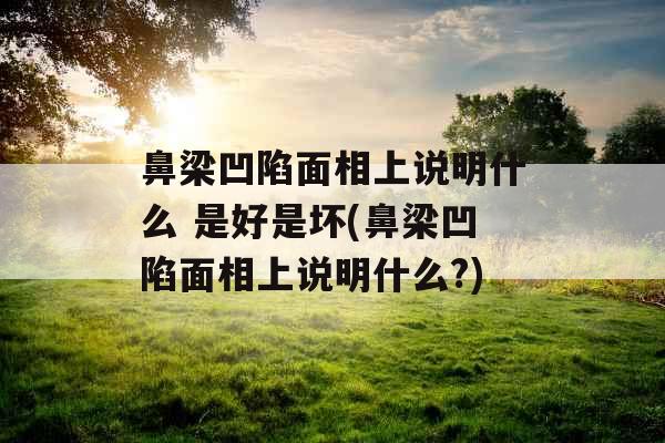 鼻梁凹陷面相上说明什么 是好是坏(鼻梁凹陷面相上说明什么?)