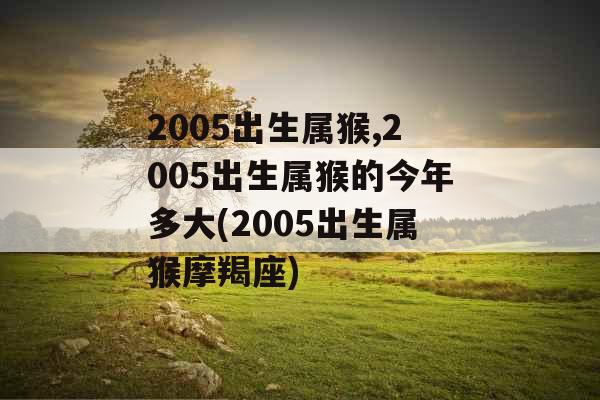 2005出生属猴,2005出生属猴的今年多大(2005出生属猴摩羯座)