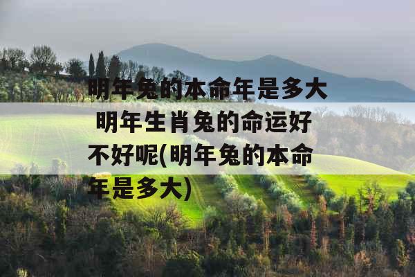 明年兔的本命年是多大 明年生肖兔的命运好不好呢(明年兔的本命年是多大)