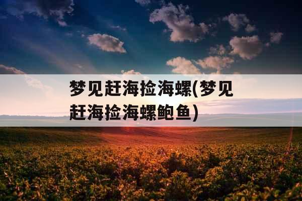 梦见赶海捡海螺(梦见赶海捡海螺鲍鱼)