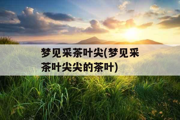 梦见采茶叶尖(梦见采茶叶尖尖的茶叶)