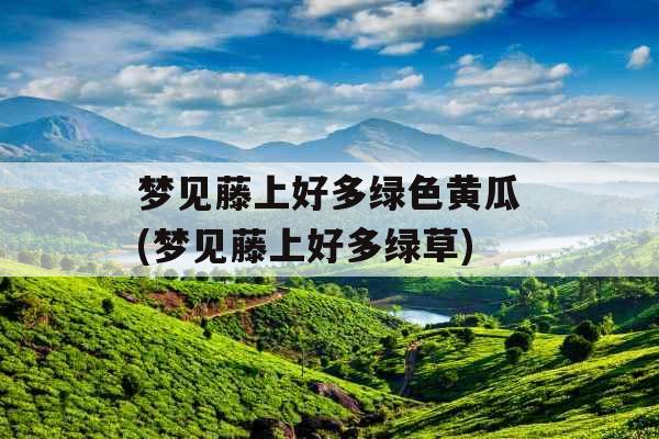 梦见藤上好多绿色黄瓜(梦见藤上好多绿草)