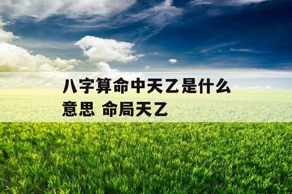 八字算命中天乙是什么意思 命局天乙 八字算命中天乙是什么意思 命局天乙