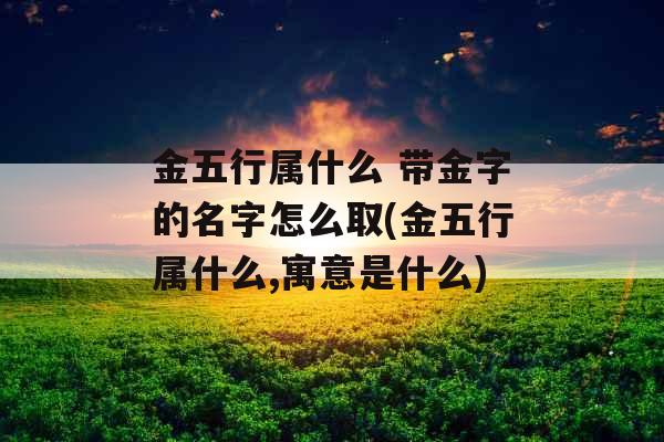 金五行属什么 带金字的名字怎么取(金五行属什么,寓意是什么)