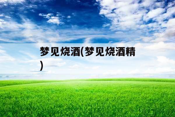 梦见烧酒(梦见烧酒精)