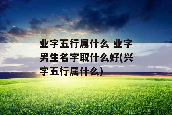 业字五行属什么 业字男生名字取什么好(兴字五行属什么)