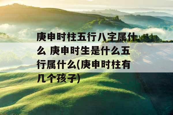 庚申时柱五行八字属什么 庚申时生是什么五行属什么(庚申时柱有几个孩子)