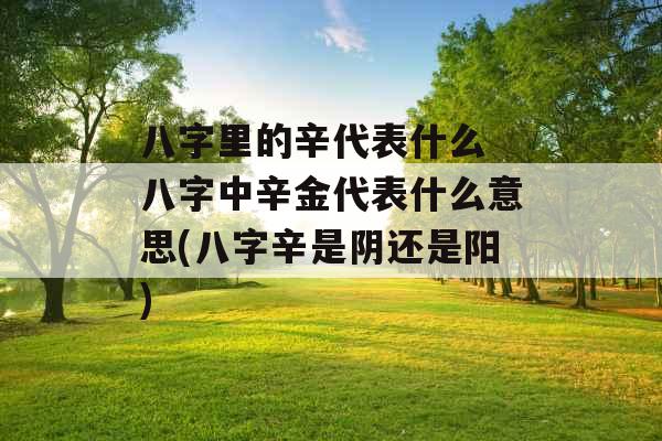 八字里的辛代表什么 八字中辛金代表什么意思(八字辛是阴还是阳) 八字里的辛代表什么 八字中辛金代表什么意思(八字辛是阴还是阳)