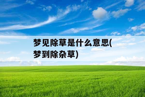 梦见除草是什么意思(梦到除杂草) 梦见除草是什么意思(梦到除杂草)