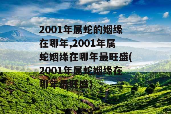 2001年属蛇的姻缘在哪年,2001年属蛇姻缘在哪年最旺盛(2001年属蛇姻缘在哪年最旺盛)