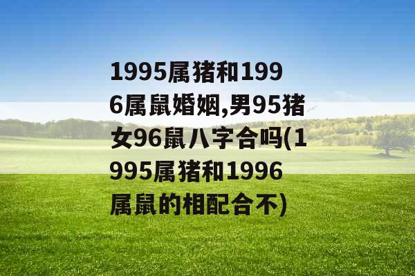 1995属猪和1996属鼠婚姻,男95猪女96鼠八字合吗(1995属猪和1996属鼠的相配合不)