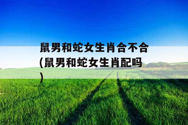 鼠男和蛇女生肖合不合(鼠男和蛇女生肖配吗)