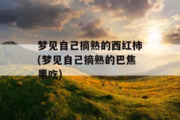 梦见自己摘熟的西红柿(梦见自己摘熟的巴焦果吃)