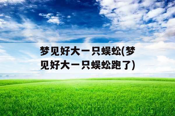 梦见好大一只蜈蚣(梦见好大一只蜈蚣跑了) 梦见好大一只蜈蚣(梦见好大一只蜈蚣跑了)