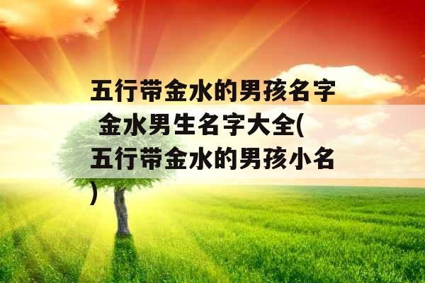 五行带金水的男孩名字 金水男生名字大全(五行带金水的男孩小名)