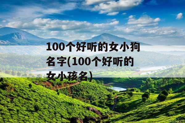 100个好听的女小狗名字(100个好听的女小孩名)