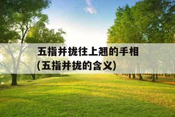 五指并拢往上翘的手相(五指并拢的含义) 五指并拢往上翘的手相(五指并拢的含义)