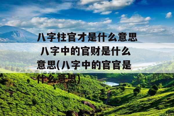 八字柱官才是什么意思 八字中的官财是什么意思(八字中的官官是什么意思)