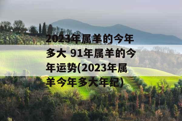 2023年属羊的今年多大 91年属羊的今年运势(2023年属羊今年多大年纪) 2023年属羊的今年多大 91年属羊的今年运势(2023年属羊今年多大年纪)