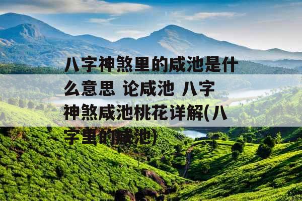 八字神煞里的咸池是什么意思 论咸池 八字神煞咸池桃花详解(八字里的咸池)