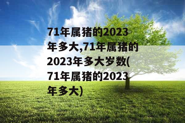 71年属猪的2023年多大,71年属猪的2023年多大岁数(71年属猪的2023年多大) 71年属猪的2023年多大,71年属猪的2023年多大岁数(71年属猪的2023年多大)