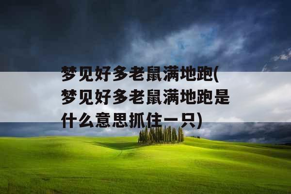梦见好多老鼠满地跑(梦见好多老鼠满地跑是什么意思抓住一只) 梦见好多老鼠满地跑(梦见好多老鼠满地跑是什么意思抓住一只)