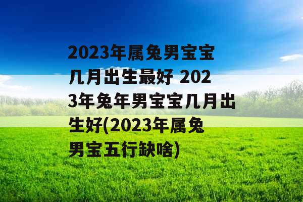 2023年属兔男宝宝几月出生最好 2023年兔年男宝宝几月出生好(2023年属兔男宝五行缺啥)