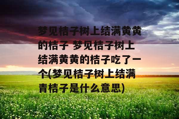 梦见桔子树上结满黄黄的桔子 梦见桔子树上结满黄黄的桔子吃了一个(梦见桔子树上结满青桔子是什么意思)