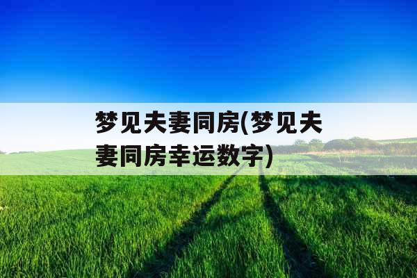 梦见夫妻同房(梦见夫妻同房幸运数字)