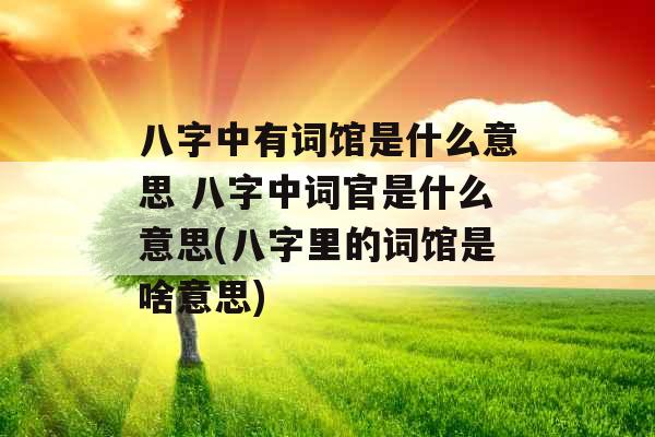 八字中有词馆是什么意思 八字中词官是什么意思(八字里的词馆是啥意思)