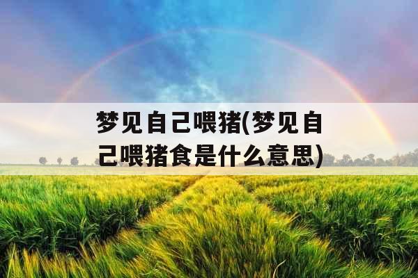 梦见自己喂猪(梦见自己喂猪食是什么意思)