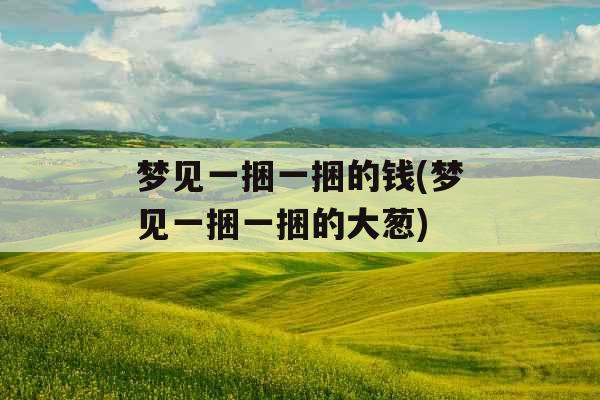 梦见一捆一捆的钱(梦见一捆一捆的大葱)