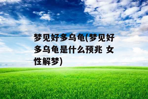 梦见好多乌龟(梦见好多乌龟是什么预兆 女性解梦)