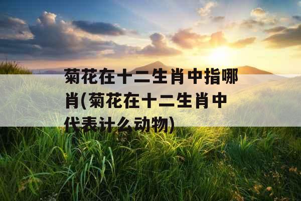 菊花在十二生肖中指哪肖(菊花在十二生肖中代表计么动物) 菊花在十二生肖中指哪肖(菊花在十二生肖中代表计么动物)