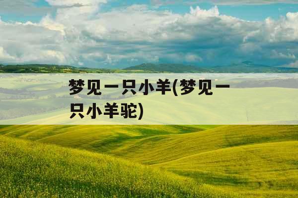 梦见一只小羊(梦见一只小羊驼)