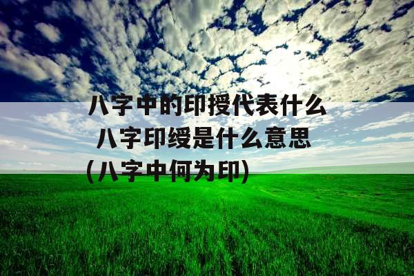 八字中的印授代表什么 八字印绶是什么意思(八字中何为印)